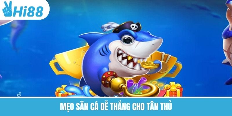 Mẹo săn cá dễ thắng cho tân thủ